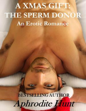 Cover of the book A Xmas Gift: The Sperm Donor by Aphrodite Hunt