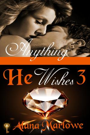 Book cover of Anything He Wishes 3