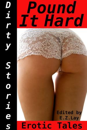 Cover of the book Dirty Stories: Pound It Hard, Erotic Tales by E. Z. Lay