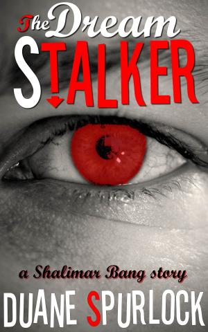 Cover of the book The Dream Stalker by Laurie Dubay