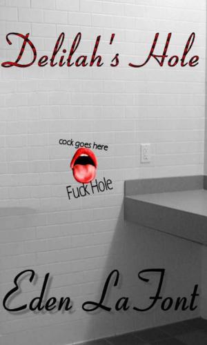 Cover of the book Delilah's Hole (gloryhole) by Eden LaFont