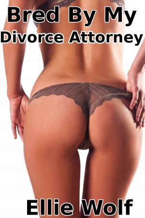Cover of the book Bred By My Divorce Attorney by Carole Mortimer