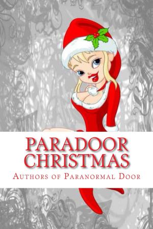 Book cover of Paradoor Christmas