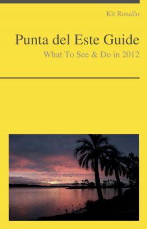 Book cover of Punta del Este, Uruguay Guide - What To See & Do