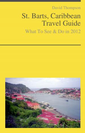 Book cover of Saint Barts, Caribbean Guide - What To See & Do