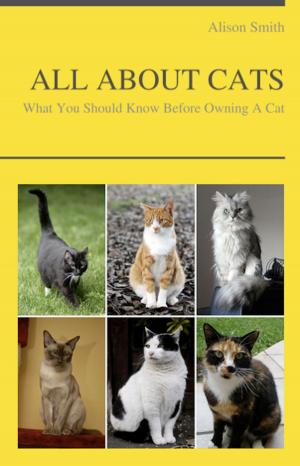 Cover of the book ALL ABOUT CATS - What You Should Know Before Owning A Cat by Rebecca Fox