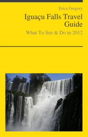 Cover of the book Iguacu Falls (Brazil, Argentina) Travel Guide - What To See & Do by Christina Power