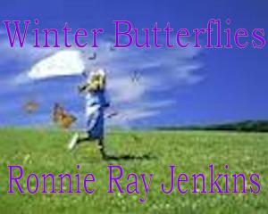 Book cover of Winter Butterflies