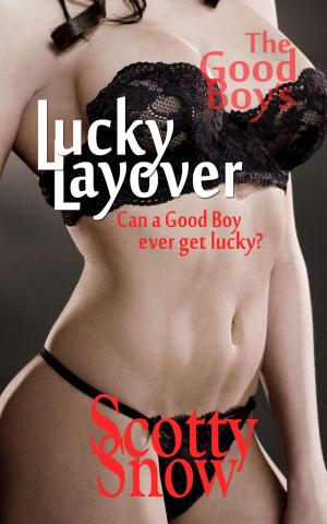 Cover of the book The Good Boy's Lucky Layover by Danielle Knight