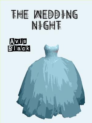 Cover of the book The Wedding Night by Verity Vixxen