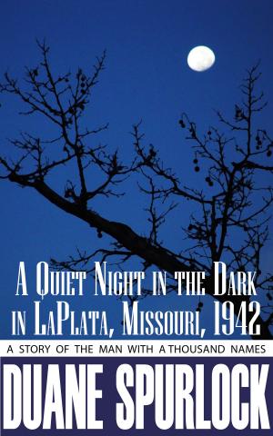 Cover of the book A Quiet Night in the Dark in LaPlata, Missouri, 1942 by B. T. Jaybush