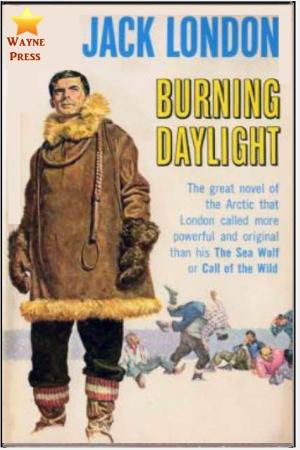 Cover of the book Burning Daylight by Fred Whishaw