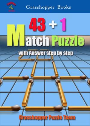 Cover of the book 43+1 Match Puzzle by William B. MacCracken, M. D.