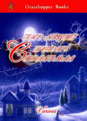 Cover of the book THE NIGHT BEFORE CHRISTMAS by J. H. WILLARD.