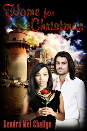 Cover of the book Home for Christmas by Kellie Kamryn