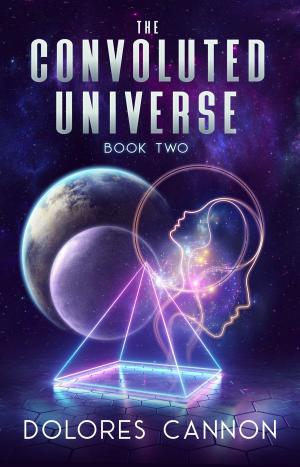 Cover of the book The Convoluted Universe: Book Two by Sherri Cortland