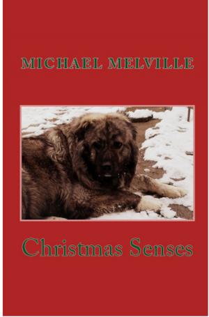 Cover of the book Christmas Senses by Michael James