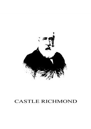 Book cover of Castle Richmond