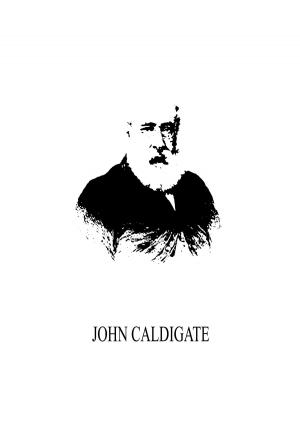 Cover of the book John Caldigate by Martin Luther