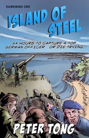 Cover of the book Island of Steel by Gary M Nelson