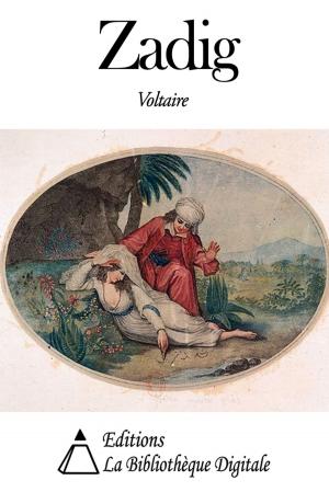 Cover of the book Zadig by Victor Cousin