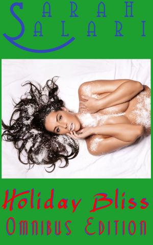 Cover of the book Holiday Bliss Omnibus Edition by Nicole Ferguson