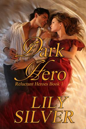 Book cover of Dark Hero