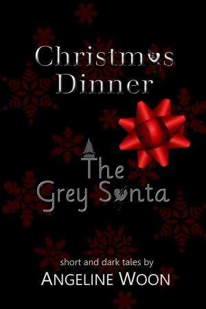 Cover of the book Christmas Dinner & The Grey Santa by D Reeder