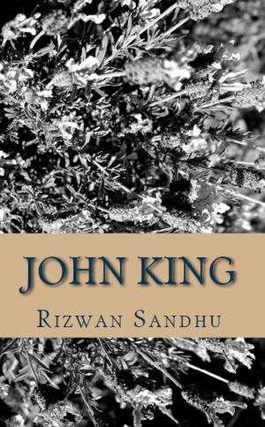 Book cover of John King