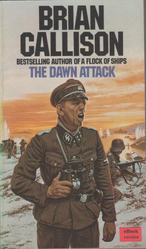 Book cover of THE DAWN ATTACK