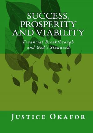 bigCover of the book Success, Prosperity And Viability by 
