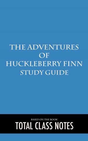 Cover of the book The Adventure of Huckleberry Finn: Study Guide by ALEXANDRE DUMAS