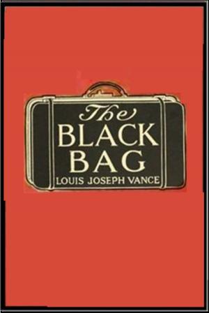 Book cover of The Black Bag