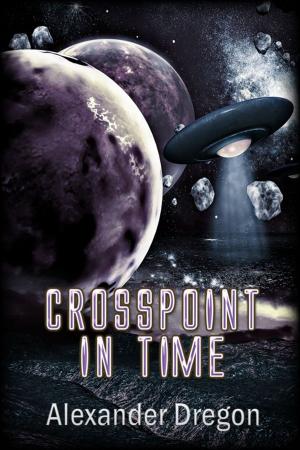 Cover of the book Crosspoint in Time by RD Le Coeur