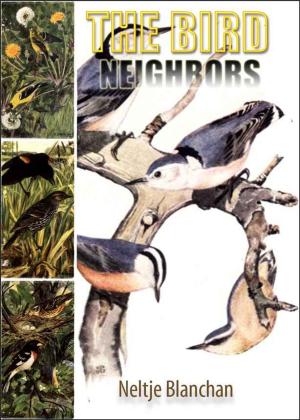 Book cover of BIRD NEIGHBORS