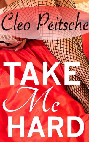 Cover of the book Take Me Hard Compilation #1 by Elena Greene