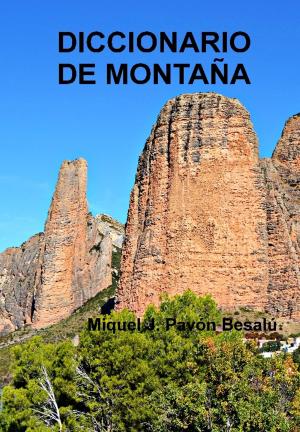 Cover of the book Diccionario de montaña by ギラッド作者