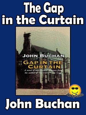 bigCover of the book The Gap in the Curtain by 