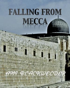 Cover of the book Falling from Mecca by Becca Blackwelder, Dan Blackwelder