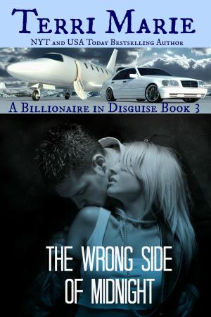 Cover of the book The Wrong Side of Midnight by Michelle Joyce