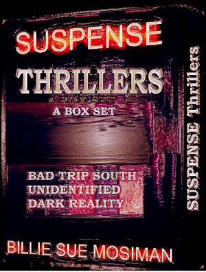 Cover of the book SUSPENSE THRILLERS-A Box Set by Marek Halter