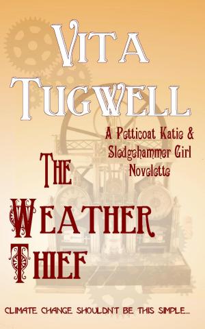 Book cover of The Weather Thief