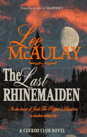 bigCover of the book The Last Rhinemaiden by 