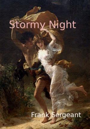 Cover of the book Stormy Night by PCuSER研究室