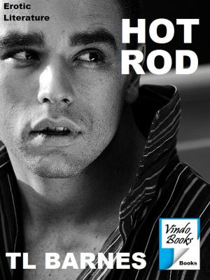 Cover of the book Hot Rod by Victor Kiethman