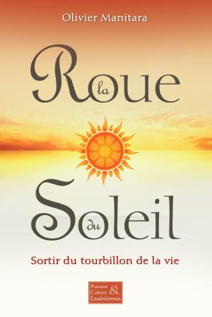 Cover of the book La roue du soleil by Olivier Manitara