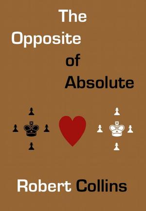 Cover of the book The Opposite of Absolute by Leah Sharelle
