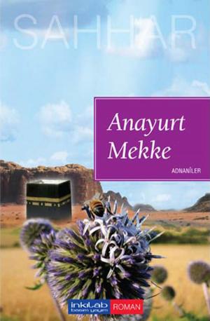 Book cover of Anayurt Mekke