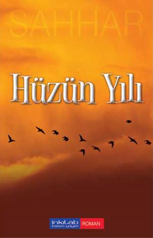 Book cover of Hüzün Yılı