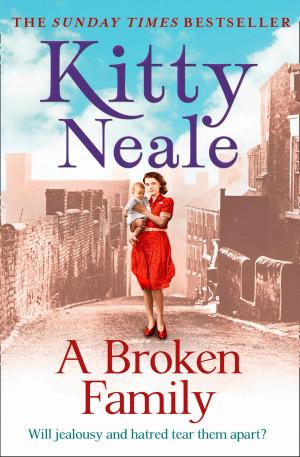 Book cover of A Broken Family